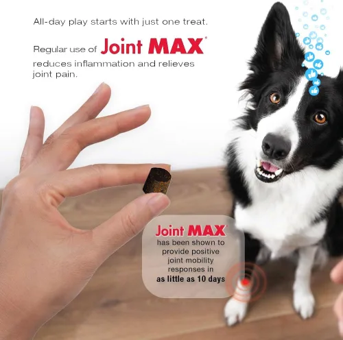 Miniatura 11 de PHS Joint Max Triple Strength (TS) Masticables suaves para perros, glucosamina, condroitina, MSM, cúrcuma, Omega 3, alivio del dolor de cadera