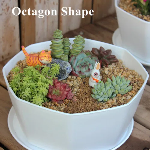 Miniatura 8 de Paquete de 8 macetas de plástico poco profundas de 8.00 pulgadas y 5.90 pulgadas, maceta octágono con bandeja para suculentas, cactus