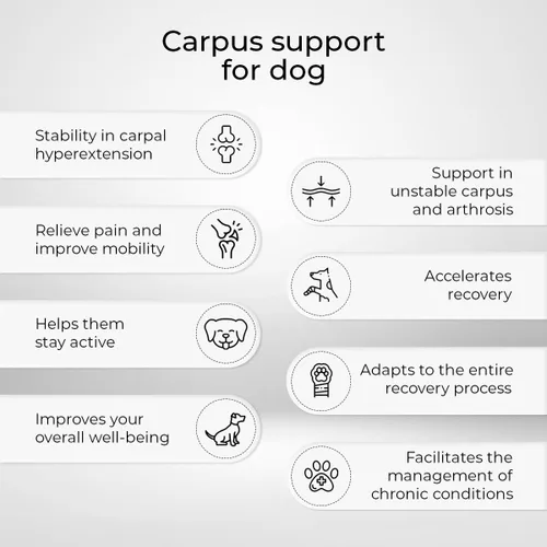 Miniatura 2 de Ortocanis - Soporte carpiano para perros Inestabilidad carpiano u osteoartritis, hiperextensión carpiano Estabiliza y reduce el dolor Férulas