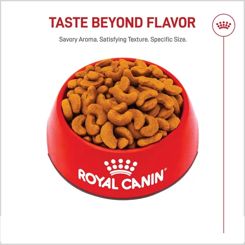 Miniatura 8 de Alimento seco Royal Canin Breed Health Nutrition para perros French Bulldog adultos, bolsa de 6 lb