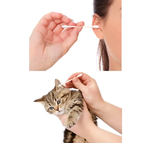 Miniatura 6 de 400 hisopos de algodón con puntas de doble precisión con palitos de cartón, brotes desechables de algodón para limpieza de maquillaje y pintura