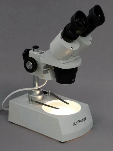 Miniatura 3 de AmScope GP-95 Placa de vidrio redonda esmerilada de 3-3/4 pulgadas (3.740 in) para microscopios estéreo