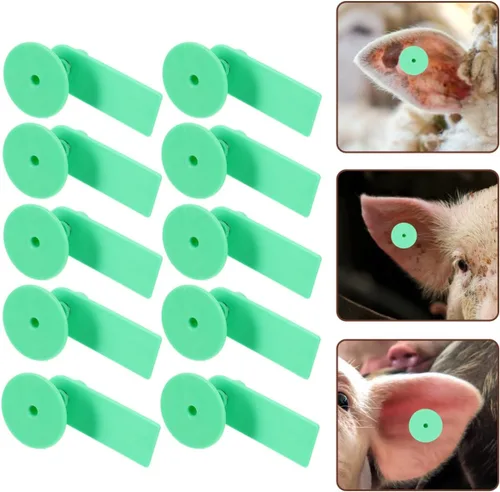Miniatura 4 de DOITOOL Etiquetas de oído de ovejas en blanco verdes 2 x 0.66 x 0.43 pulgadas Etiquetas de identificación de ganado para cabras, ovejas, ganado
