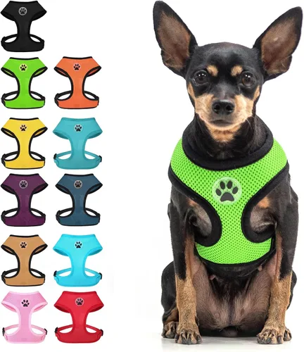Miniatura 14 de BINGPET Arnés para perro sin tirones, arnés de chaleco tipo step-in de malla para todo clima para perros pequeños, arnés de malla transpirable