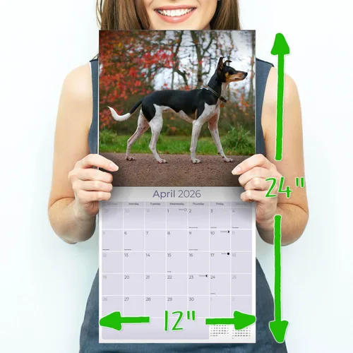 Miniatura 8 de Calendario de Rat Terrier 2025 2026 – Calendario mensual de pared de raza de perro – 12" x 24" abierto – Papel grueso que no se corre – Para regalo