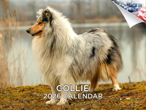 Miniatura 223 de Calendario 2025 2026 de cachorros Cocker Spaniel - Calendario mensual de pared de raza de perro - 12" x 24" abierto - Papel grueso sin sangrado