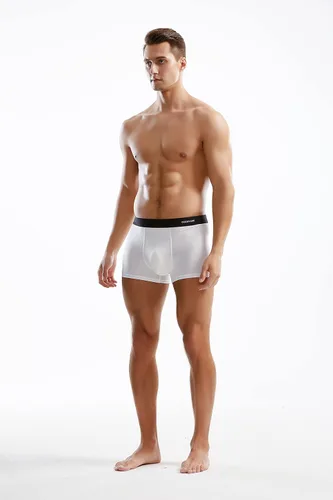 Miniatura 4 de Calzoncillos de microfibra modal sin costuras para hombre, paquete múltiple