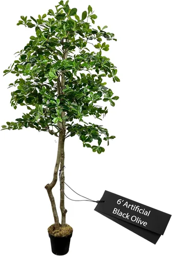 Miniatura 13 de Cypress & Alabaster Árbol artificial de hoja de olivo negro italiano hecho a mano de 4 pies con troncos de madera real de origen ético
