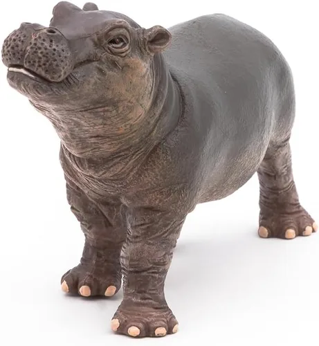 Miniatura 6 de Papo - Figura realista de hipopótamo bebé - A partir de 3 años - Colección Wild Life - Juego educativo de animales jóvenes - Juguete de idea
