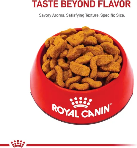 Miniatura 8 de Royal Canin Breed Health Nutrition Bulldog - Alimento seco para perros adultos, bolsa de 17 libras