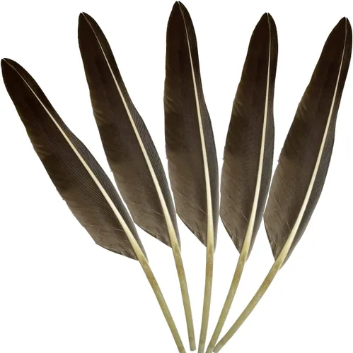 LWINGFLYER 25 plumas de ganso de 10 a 12 pulgadas de largo para bolígrafos, manualidades, festivales, Halloween, sombreros, decoraciones de Natural