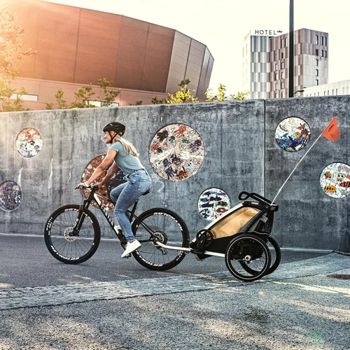 Miniatura 8 de Thule Chariot Lite - Remolque y cochecito multideportivo Agave