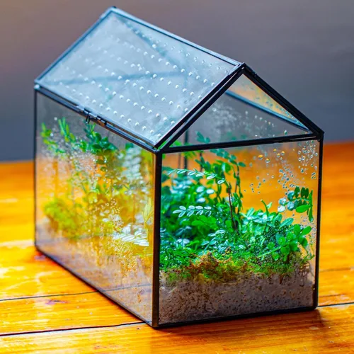 Miniatura 8 de NCYP Terrario de cristal con forma de casa con tapa acrílica, 10.2 x 5.9 x 8.2 pulgadas, caja de terrario geométrica grande de mesa para caracoles