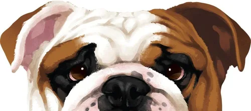 Miniatura 4 de MUGBREW Taza de té de cerámica Bulldog Inglés, 11 onzas English Bulldog