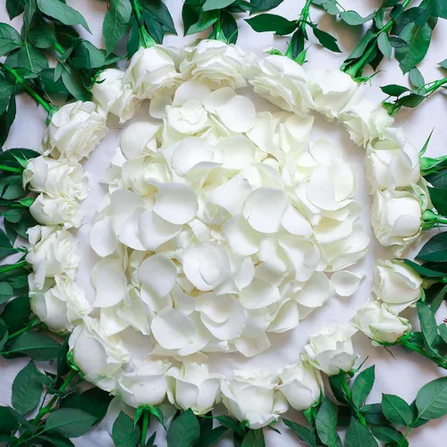 Miniatura 8 de 200 pétalos de rosa negros reales secos, pétalos de flores preservados de 1.75 onzas para regalos, decoración de fiesta de boda, niña de las flores