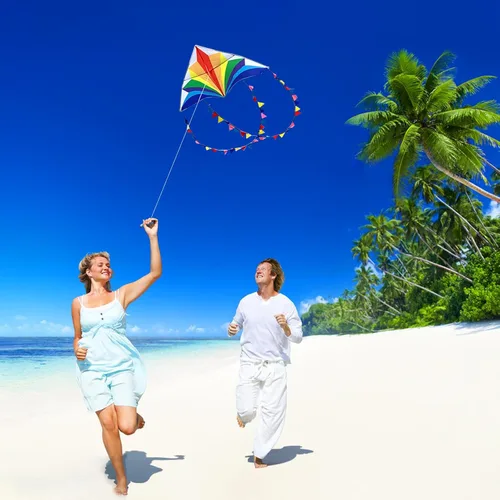 Miniatura 2 de Large Rainbow Delta Kite for Kids & Adults,Single Line Beach Kite for Kids Ages 4-8 & 8-12,Easy to Fly for Toddlers and Beginners