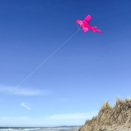 Miniatura 3 de in The Breeze 3D Shark Kite - Single Line - Easy-Flying - Includes Kite Line and Bag