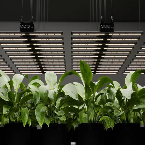 Miniatura 7 de Luz LED de cultivo de 320 W con 7 espectros ajustables (UV e IR), lámpara de planta de espectro completo regulable para cobertura de 3 x 3 pies