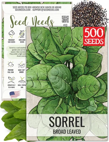 Miniatura 11 de Seed Needs, Semillas de acedera de hoja grande, 500 semillas tradicionales para plantar Rumex acetosa, hierba medicinal o culinaria sin OMG y sin