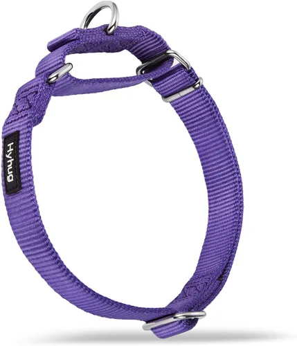 Miniatura 38 de Collar Hyhug Pets de nailon resistente, cómodo y seguro, para entrenamiento profesional, martingala, uso diario, para caminar, antiescape, para Azul