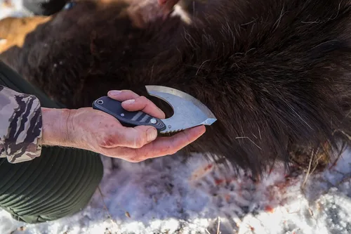 Miniatura 6 de Gerber Gear Downwind Ulu - Cuchillo Ulu con funda para equipo de caza, color negro