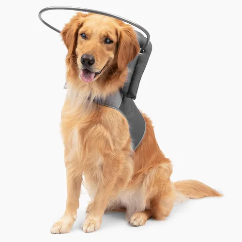 Miniatura 8 de Muffin's Halo® - El halo original para perro ciego Arnés y collar de parachoques accesorio para una navegación segura y confianza - Negro, talla 1