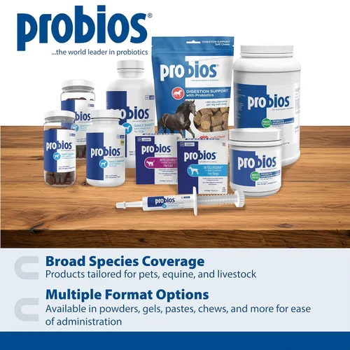 Miniatura 7 de Probios Masticables de apoyo digestivo para perros, suplemento probiótico diario para la salud intestinal, la digestión y el apoyo inmunológico, 1