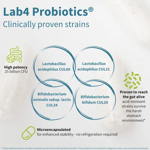 Miniatura 3 de Probióticos y prebióticos Igennus, Lactobacillus acidophilus y bifidobacterias, Live Cultures+ Lab4, garantizado 25 mil millones de UFC