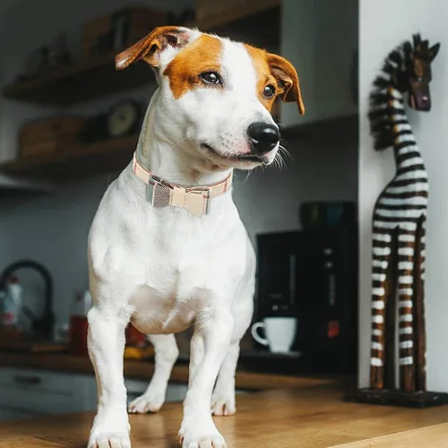 Miniatura 6 de EXPAWLORER Juego de collar y correa para perro - Corbata de moño clásica a cuadros para perro y collar bandana para perro con campana, correa