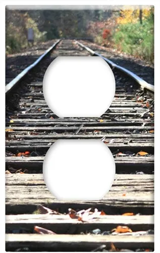 Tapa de salida de placa de interruptor - Vías de tren Transporte Ferrocarril