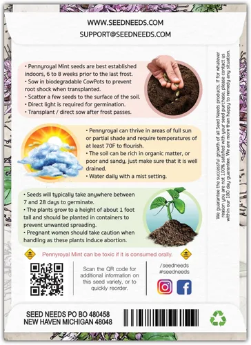 Miniatura 2 de Seed Needs, Pennyroyal - Semillas de menta – 1000 semillas tradicionales para plantar mentha pulegium – Hierba medicinal sin OMG y sin tratar