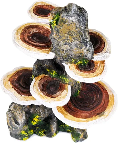 Miniatura 7 de Penn-Plax Deco-Réplicas - Tronco de árbol con estante para decoración de acuario de hongos, seguro para peceras de agua dulce y salada