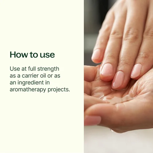 Miniatura 3 de Plant Therapy Aceite portador dorado de jojoba de 4 onzas, 100% puro, prensado en frío, natural y libre de OGM y aceite portador para aceites
