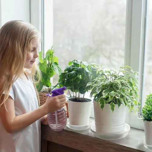 Miniatura 9 de MUDEELA Paquete de 6 platillos para plantas de 8 pulgadas, bandejas de plástico duraderas para interiores, platillo de plástico transparente, hecho