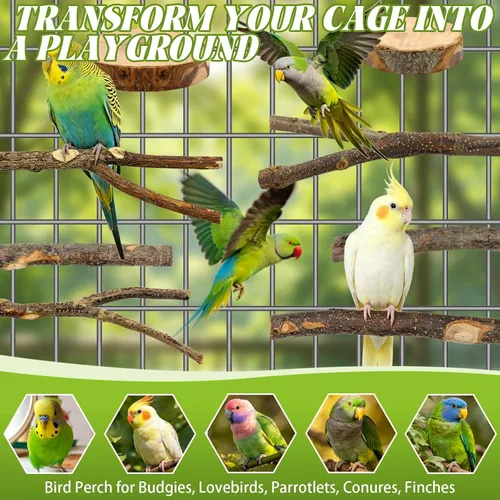 Miniatura 7 de 8 Piezas de Perchas de Aves Naturales de Madera para Jaula, Soporte y Plataforma de Perca para Loros, Accesorios para Jaula de Pájaros