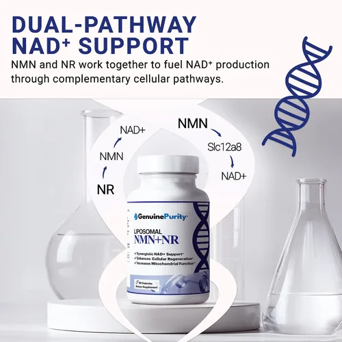 Miniatura 4 de Suplemento liposomal NMN + NR - 60 cápsulas veganas para apoyar la salud celular, la energía y los niveles de NAD+ - Fabricado en Estados Unidos