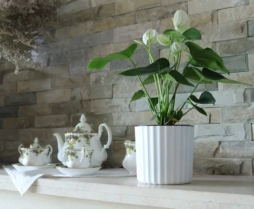 Miniatura 6 de MUZHI Maceta de orquídea con red y agujeros, maceta de riego automático redonda para plantas de interior y flores, 3 juegos, color blanco