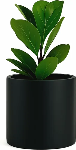Miniatura 11 de Fox & Fern - Maceta (fibra de piedra) Padre