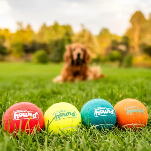 Miniatura 5 de Outward Hound Squeaker Ballz Paquete de 4 Juguetes de Pelotas de Tenis para Perros con Chirriador, Juego Interactivo de Buscar para Mascotas de 50