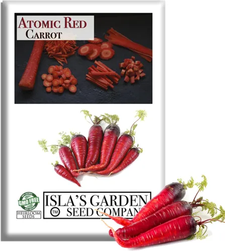 Semillas de zanahoria roja atómica (Daucus carota) – Más de 250 semillas de reliquia sin OMG, raíces rojas vibrantes ricas en licopeno, por Isla's