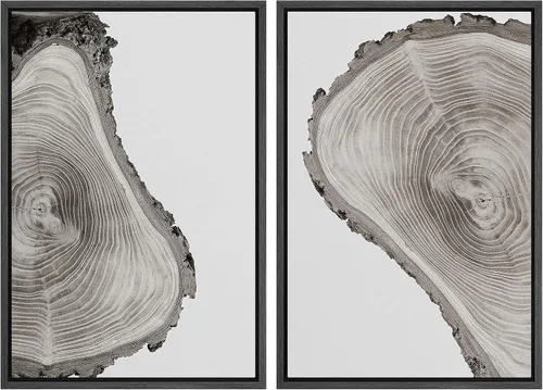 Miniatura 59 de SIGNWIN Lienzo enmarcado para pared, juego de arte con anillos de árbol de bosque grunge en blanco y negro, ilustraciones de naturaleza silvestre