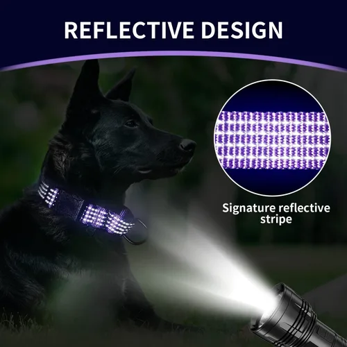 Miniatura 2 de Collar Martingale para Entrenamiento de Perros. Collares Reflectantes Ajustables para Perros con Hebilla - SIN Tirones - Previene que se Escapen