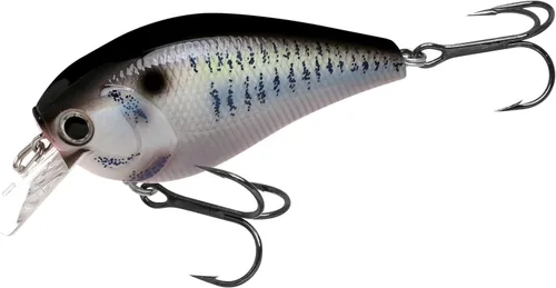Miniatura 18 de LUCKY CRAFT LC 2.5 Señuelos de Pesca Crankbait Silenciosos, Crankbait Squarebill de 2-3/8", Señuelos para Lubina, Carnada Dura Flotante de 419 BP