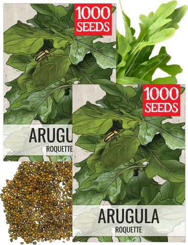 Miniatura 12 de Seed Needs, Semillas de acedera de hoja grande, 500 semillas tradicionales para plantar Rumex acetosa, hierba medicinal o culinaria sin OMG y sin