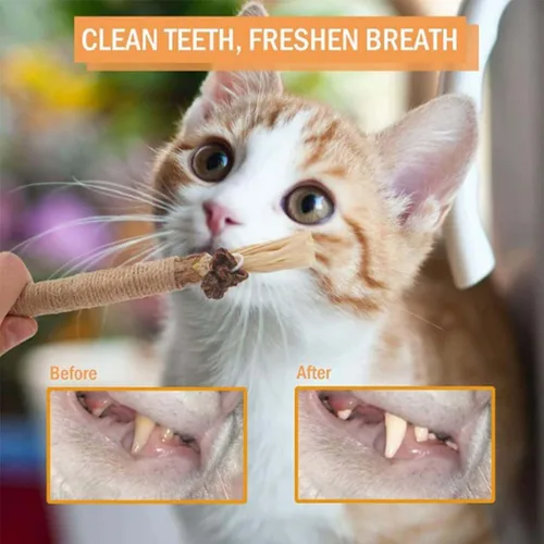 Palitos dentales naturales Silvervine, palitos de Silvervine para gatos, juguete masticable natural para gatos, promueve la salud dental, participa