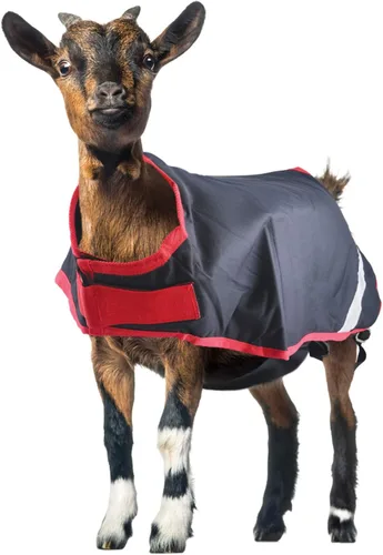 Miniatura 6 de Horseware® Chamarra de cabra (100g ligera)