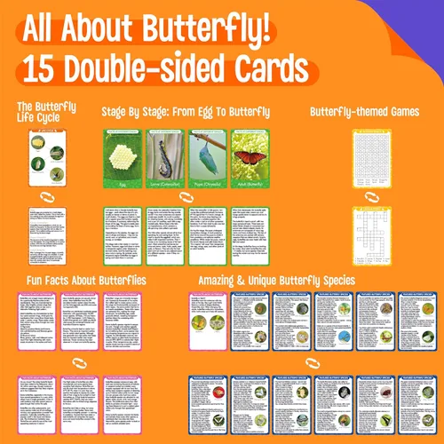 Miniatura 2 de 15 tarjetas de mariposa con 4 figuras de plástico, tarjetas de introducción de mariposas, insectos, huevo a mariposa, kit de juguete para niños