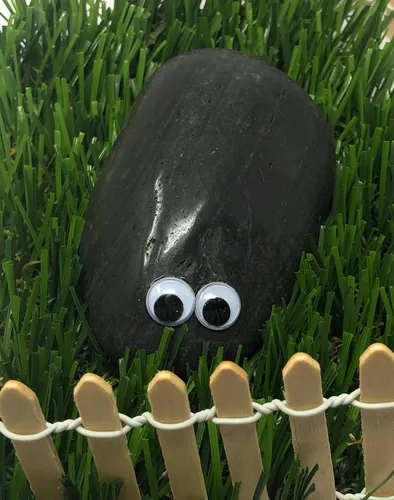Miniatura 4 de Rock Pet Googly Wiggle Eyes con kit de adopción de lujo y Dolly