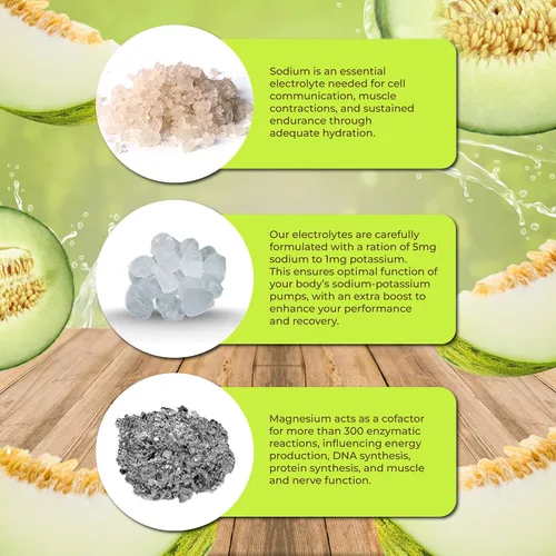 Miniatura 4 de Santa Cruz Paleo Polvo de Electrolitos en Polvo, Sabor Melocotón de Honeydew, Mezcla de Bebida Hidratante Sin Azúcar con Sal Rosa del Himalaya, Sal