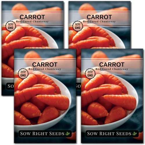 Sow Right Seeds - Semillas de zanahoria Chantenay de núcleo rojo para plantar - Paquete de reliquia sin OMG con instrucciones para plantar un huerto